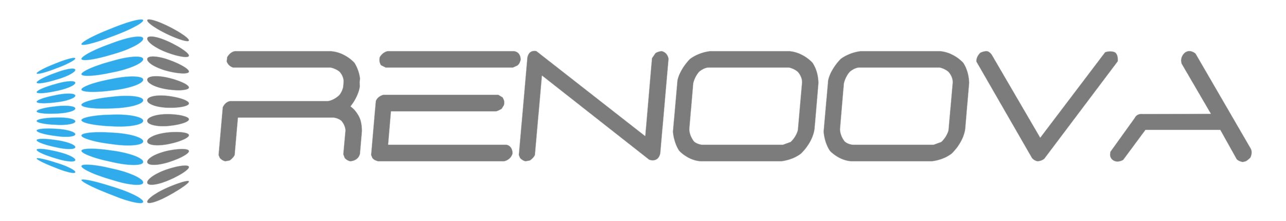 Logo Renoova als Partner von SN Elite